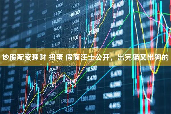 炒股配资理财 扭蛋 假面汪士公开，出完猫又出狗的