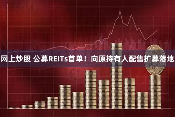 网上炒股 公募REITs首单！向原持有人配售扩募落地